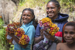 PAPUA-Raja Ampat 2026 (1 group) (39/55)